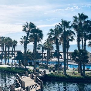 Meet your Posher, Suya